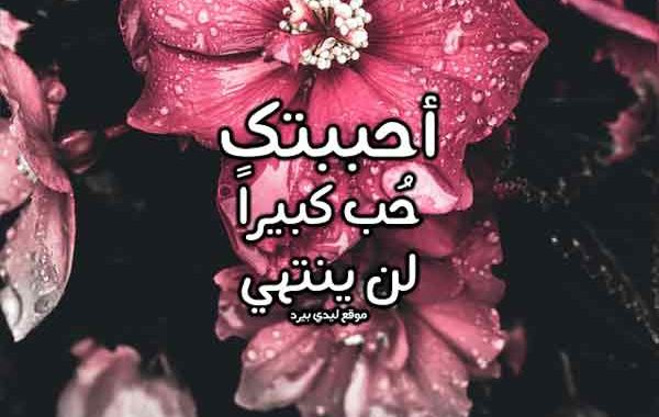 قصيدة حب لحبيبي - حبيبي احبك للابد