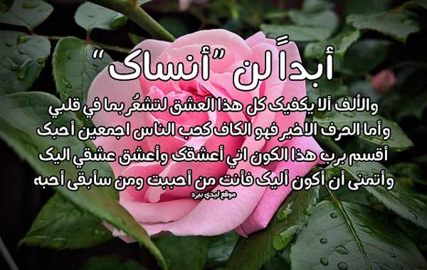 رسائل حب طويلة ١