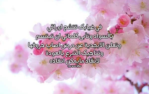 رسائل حب طويلة ٢