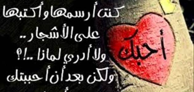 شعر عن الحب قصير