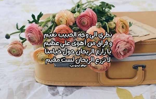 شعر عن بعد الحبيب