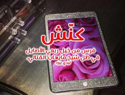 شعر غزل بدوي مضحك