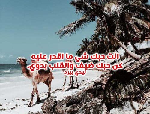 شعر بدوي خواطر