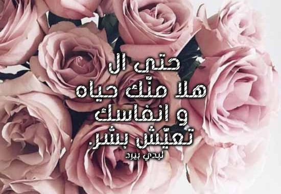 كلام حب خليجي قصير