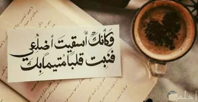 كلمات جميلة جدا ومعبرة