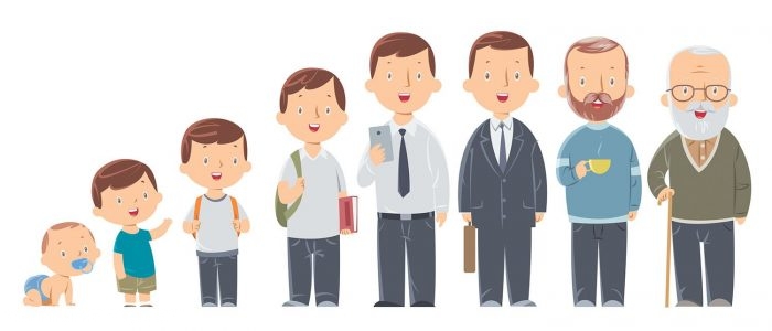 مراحل حياة الإنسان من الإخصاب إلى الموت 4
