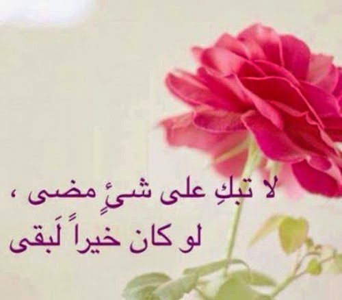 عبارات يوميه تويتر