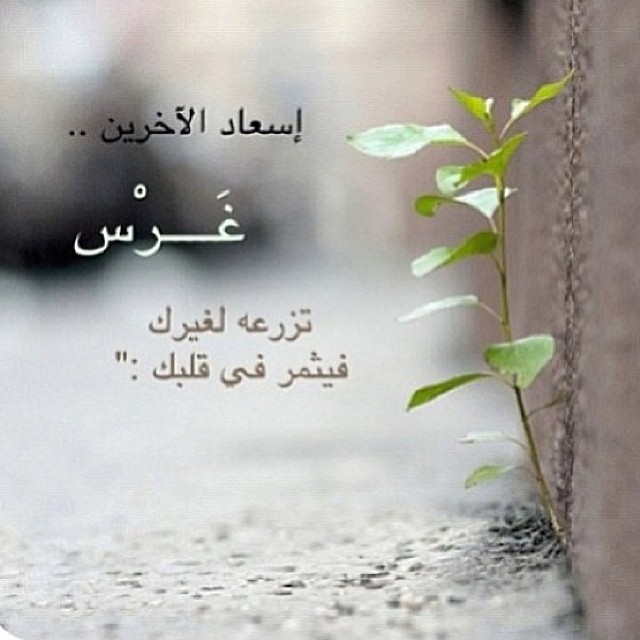 عبارات عن اللحظات الجميلة