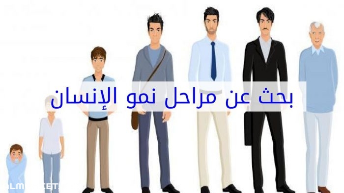 مراحل حياة الإنسان من الإخصاب إلى الموت 5