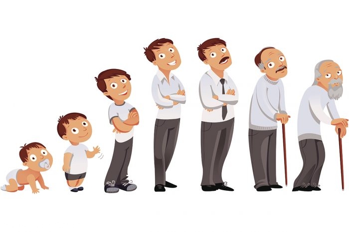 مراحل حياة الإنسان من الإخصاب إلى الموت 2