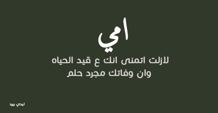 بوستات عن الام المتوفية ٣