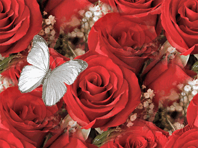صور متحركة 3