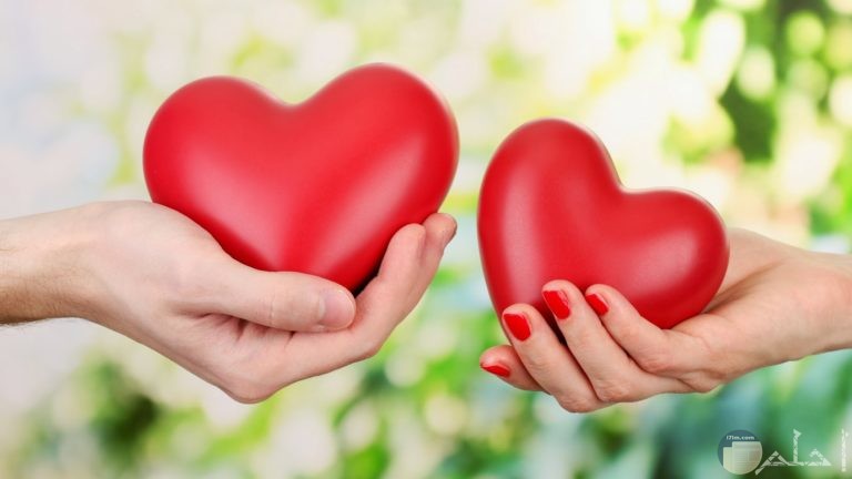 اجمل الصور المعبرة عن الحب ٤
