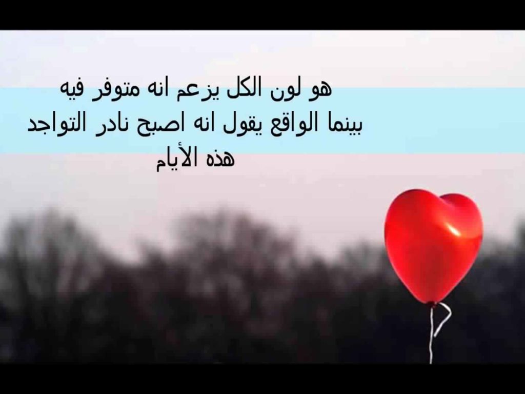 عبارات جميلة عن الحب والصداقة