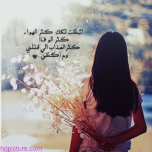 ابيات شعر عن الحبيب