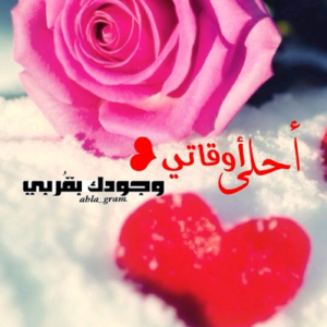 عبارات عن الحب