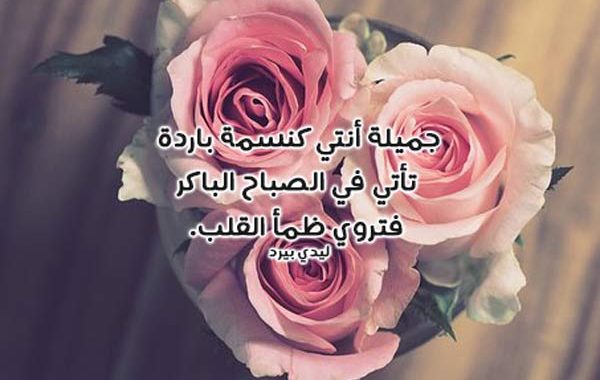 كلام حلو للبنات وقصير