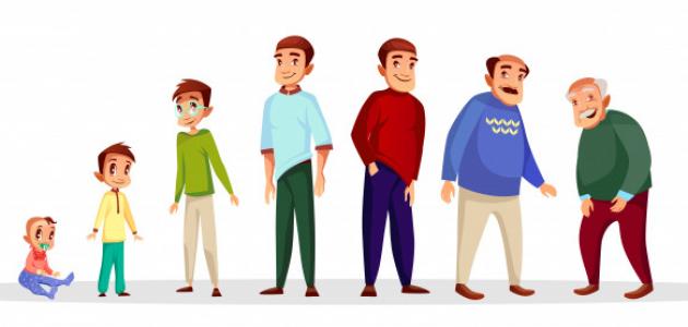 مراحل حياة الإنسان من الإخصاب إلى الموت 1