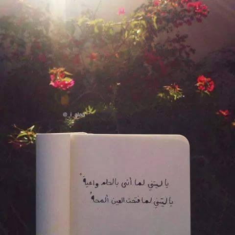 خواطر حب رومانسية تجنن