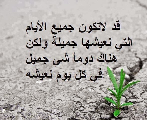 مجرد عبارات تويتر