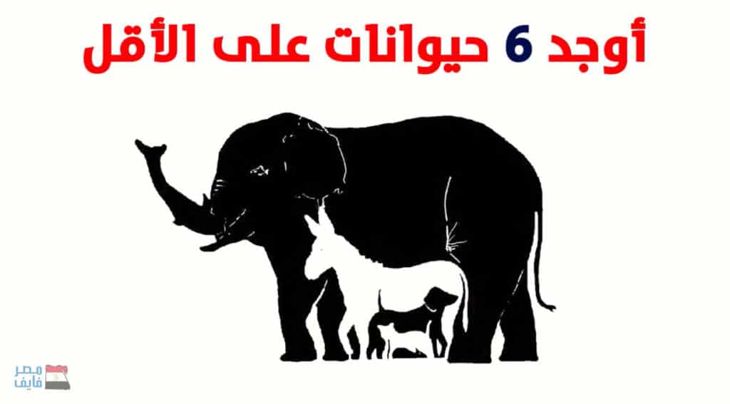 ألغاز بالصور حيوانات ٤