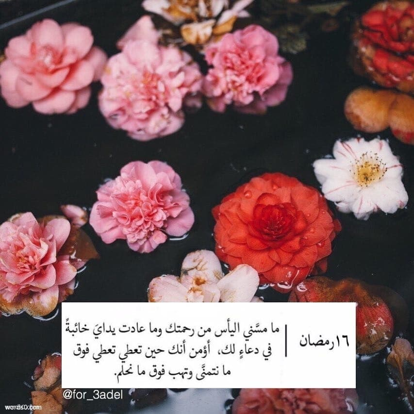16 رمضان4