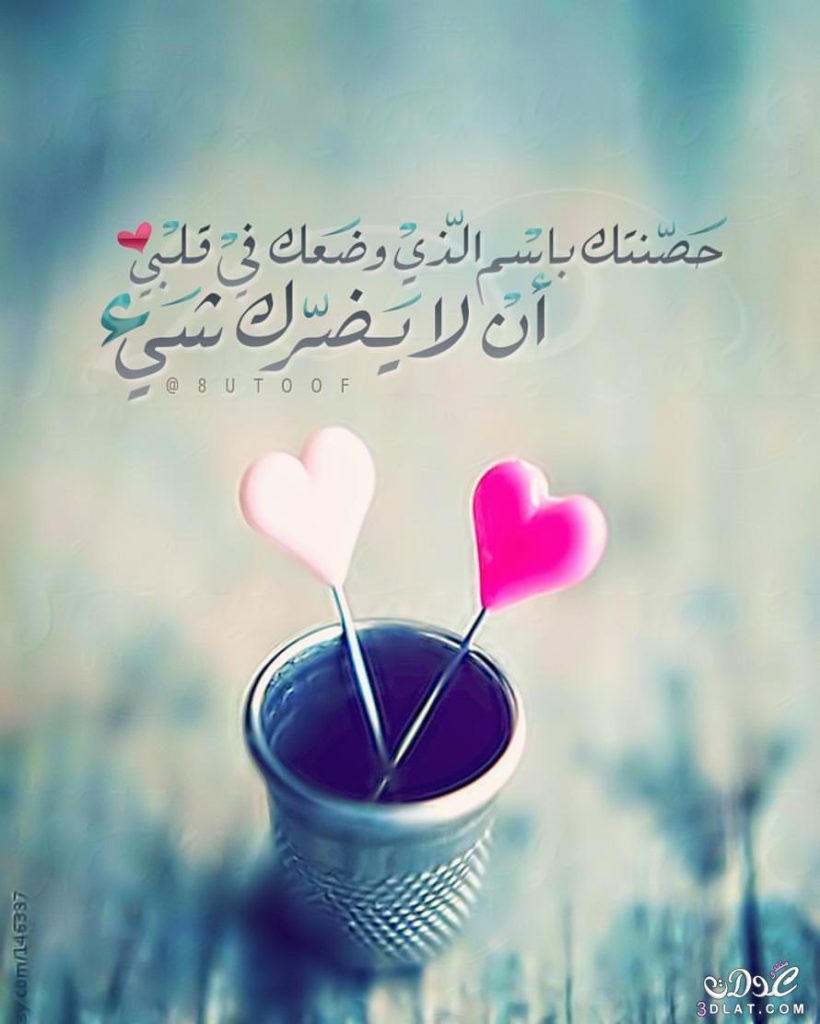 صوردينيه حديثة5