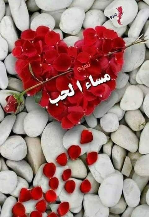 مساء المحبة ٣