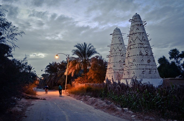 سيوة الآن2