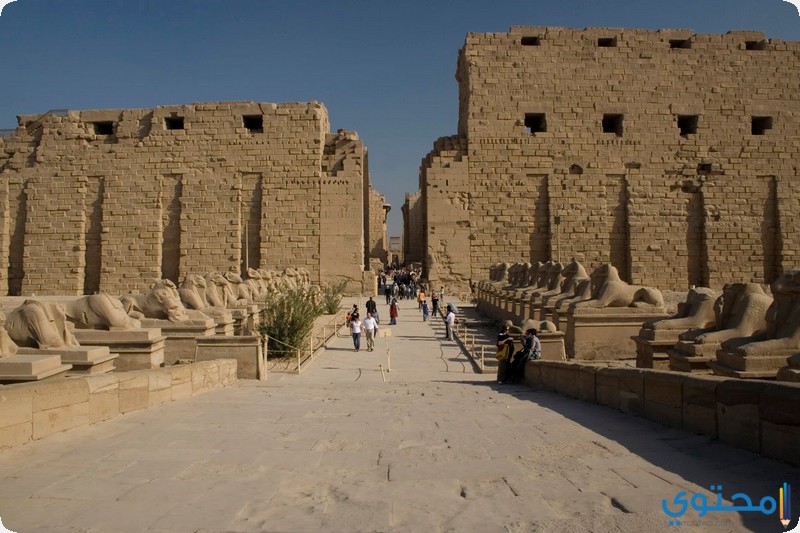 تعبير عن معبد الكرنك بالانجليزي1