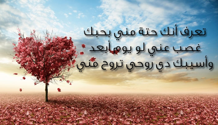 رسالة حب ١