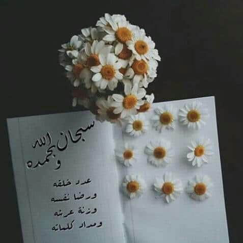 صوردينيه روعة5
