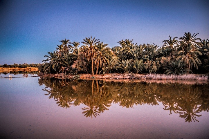 سيوة الآن5
