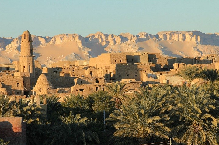 جمال سيوة1