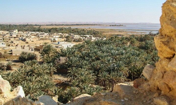 جمال سيوة2