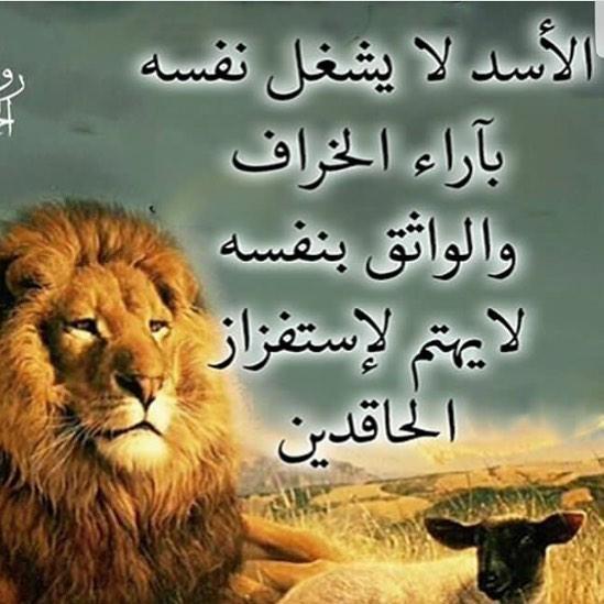 خلفيات اسد مكتوب عليها3