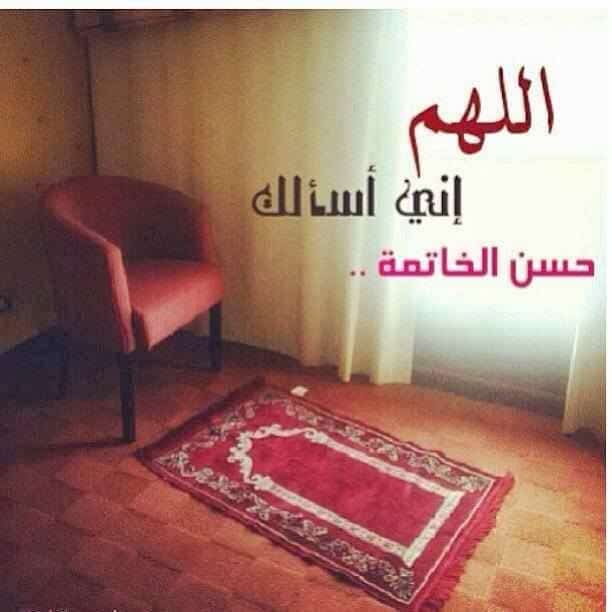 صوردينيه للفيس بوك5