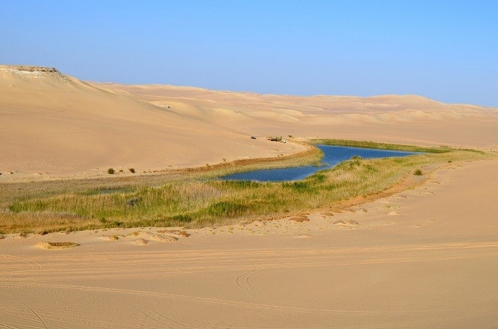 جمال سيوة4