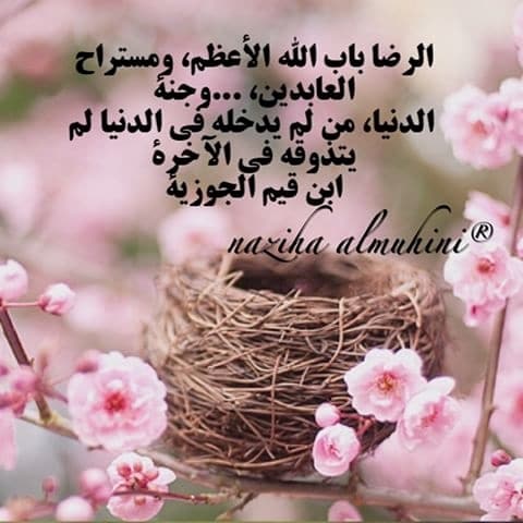 صور دينيه 2