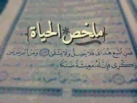 صوردينيه للفيس بوك5