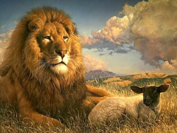 رمزيات اسد4