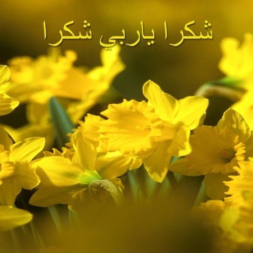 دعاء الشكر لله  ١