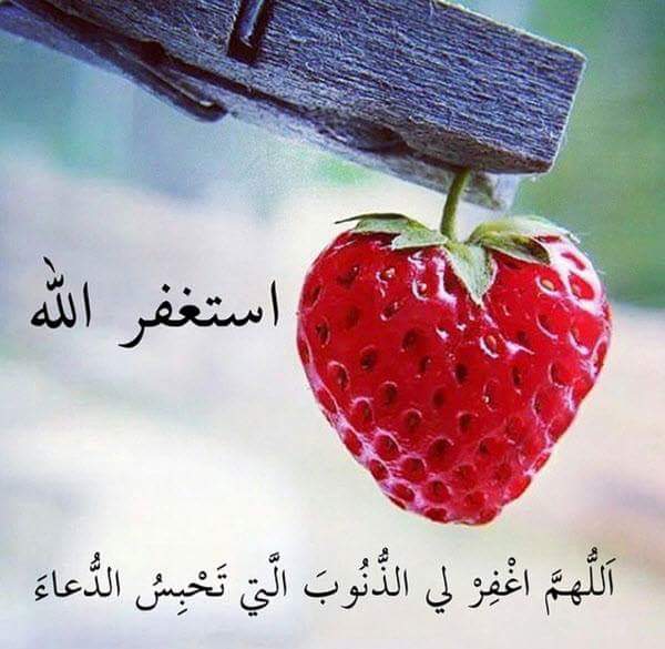 صور دينيه - اجمل الصور الاسلامية النادرة 3