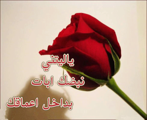 مسجات حب للزوج ٢