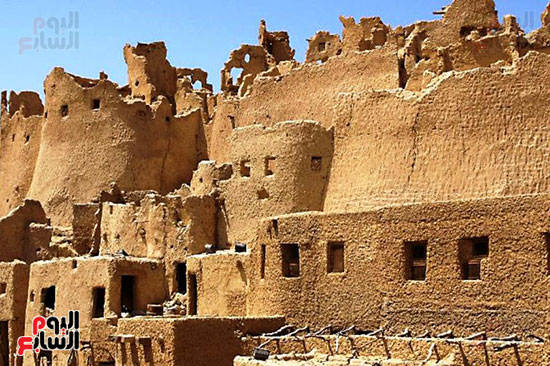 الحياة في سيوة5