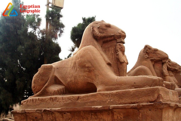 تعبير عن معبد الكرنك بالانجليزي4