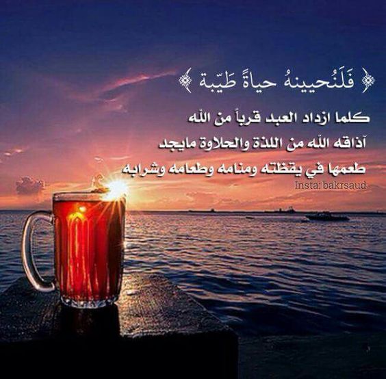 صوردينية مؤثرة1