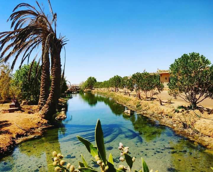 مقترحات للحفاظ على واحة سيوة1