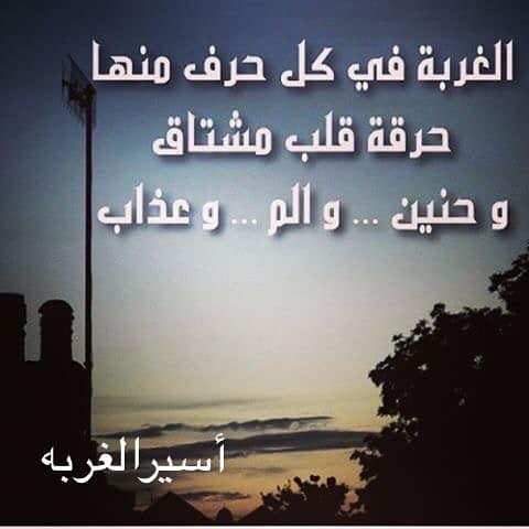 كلمات عن الوحدة والغربة ٢