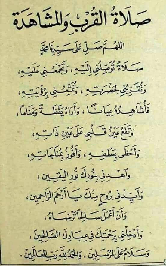 صوردينية مؤثرة4